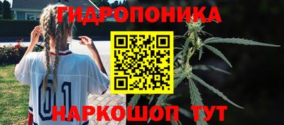 jwh Ирбит