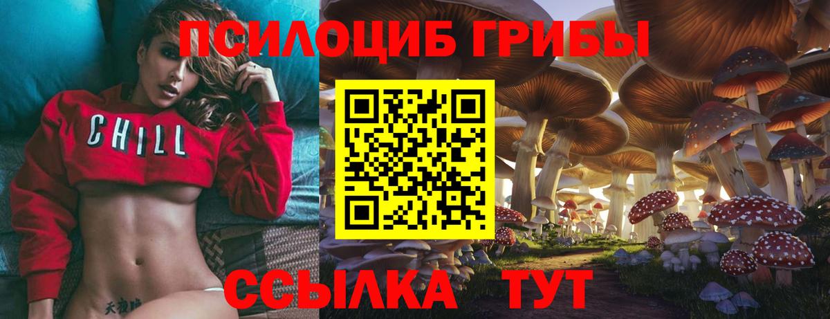 Галлюциногенные грибы мицелий Кушва